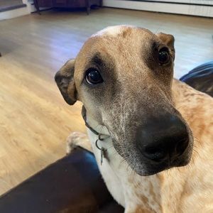 Meet your Posher, Logan